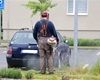 Blokové čištění n parkovištích, 17.5.2022